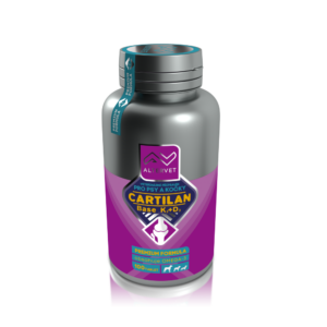 CARTILAN BASE K2+D3