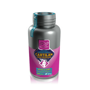 CARTILAN MSM+Kurkumin